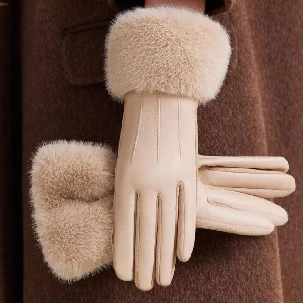 ถุงมือหนังผู้หญิงบุด้วยวัสดุกั - Winter Glove Insulated บทวิจารณ์และราคา